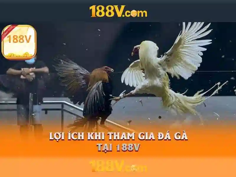 188v uy tín không - 188V 188v uy tín không - 188V