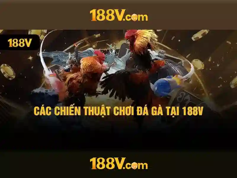 rút tiền Slot - 188V rút tiền Slot - 188V