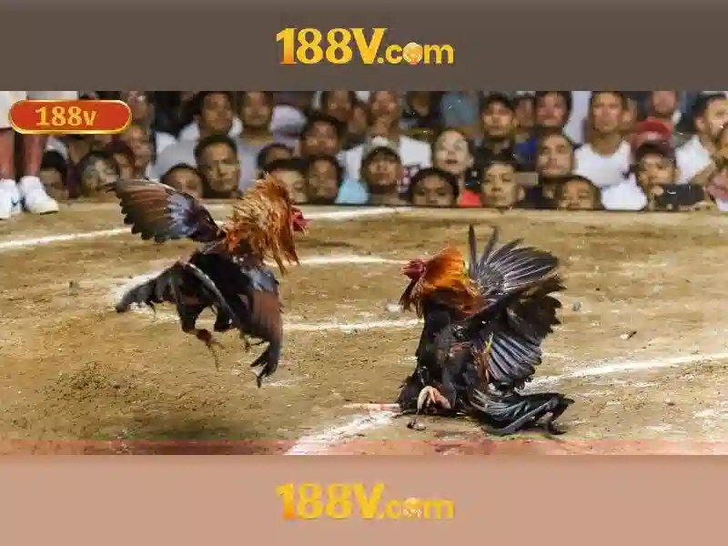 💎nhà cái hr99💎 💎nhà cái hr99💎