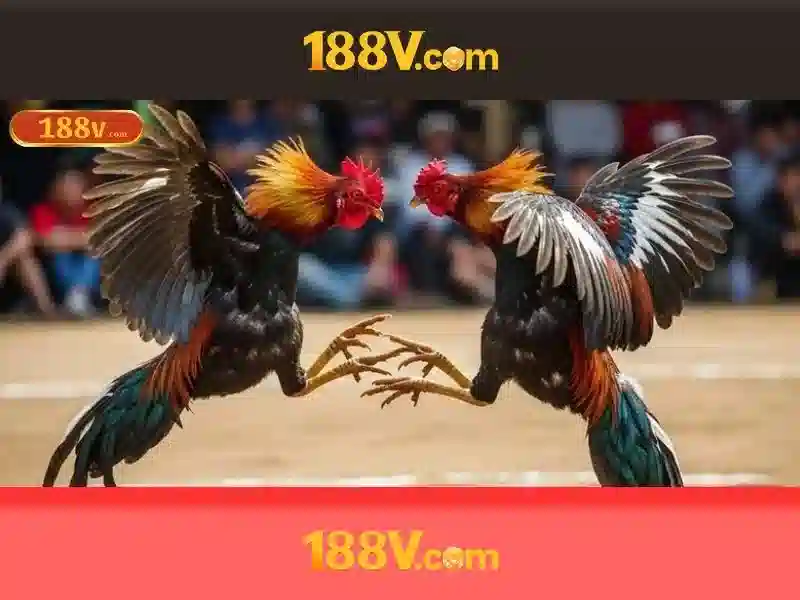 💎panda slot 138💎 💎panda slot 138💎